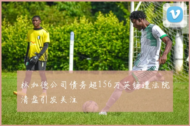 林加德公司债务超156万英镑遭法院清盘引发关注