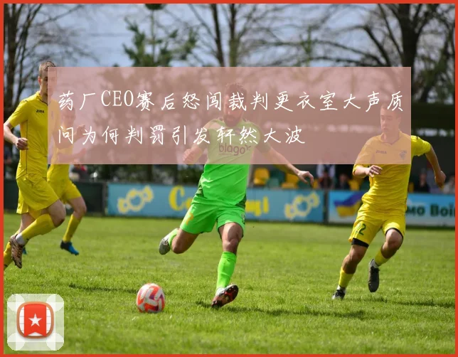 药厂CEO赛后怒闯裁判更衣室大声质问为何判罚引发轩然大波