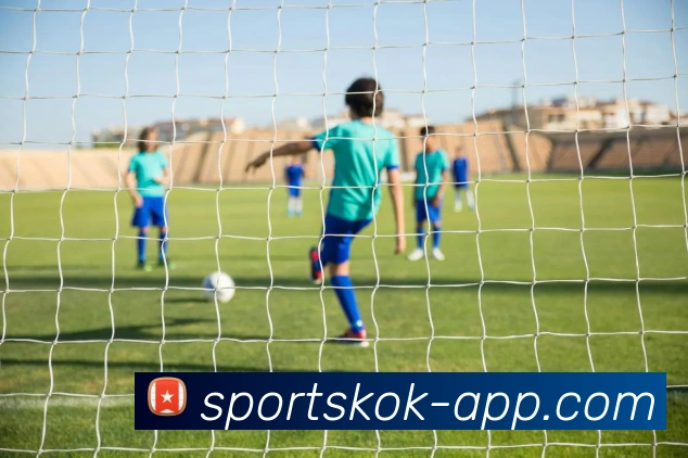 KOK体育服务体系